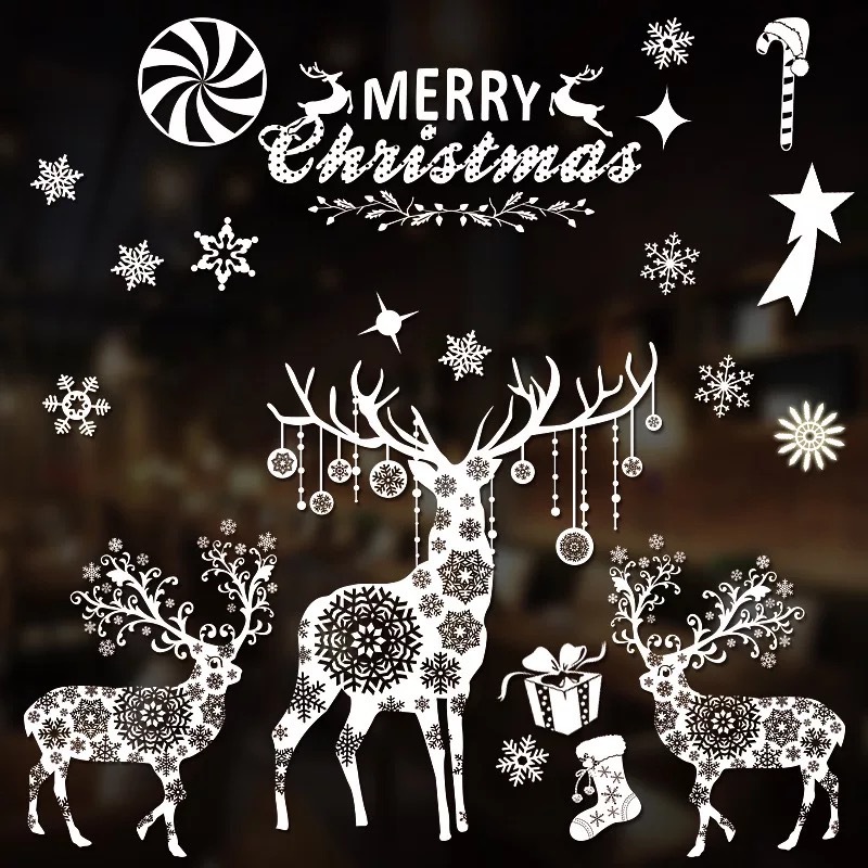 IMG_2116(20210919-091823)