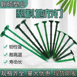 塑料地钉园艺拉枝钉大棚地膜农田黑色除防草布植物防草布专用