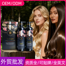 跨境洗发水代工护发素定制贴牌加工Shampoo and Conditioner Set