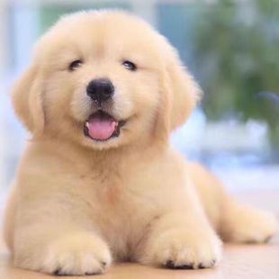 ���N��ë��Ȯ���wِ����ëȮ��äȮ����������Ȯ���B��ëȮ���ﹷ