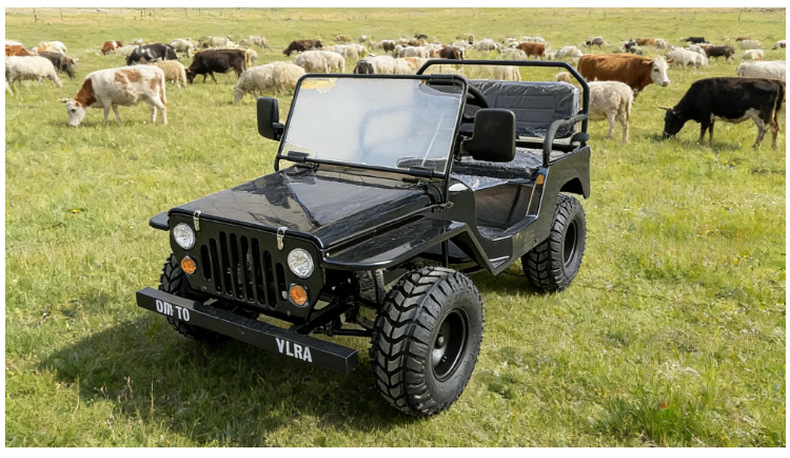 Four-wheel motorcycle, parent-child electric vehicle, off-road vehicle, go-kart, jeep, recreational vehicle, beach vehicle, direct factory sales
