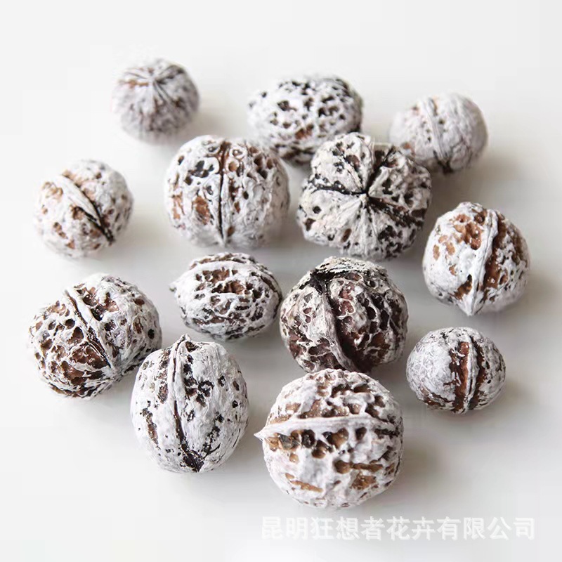 Hickory White (một túi 10 chiếc, kích thước hỗn hợp)