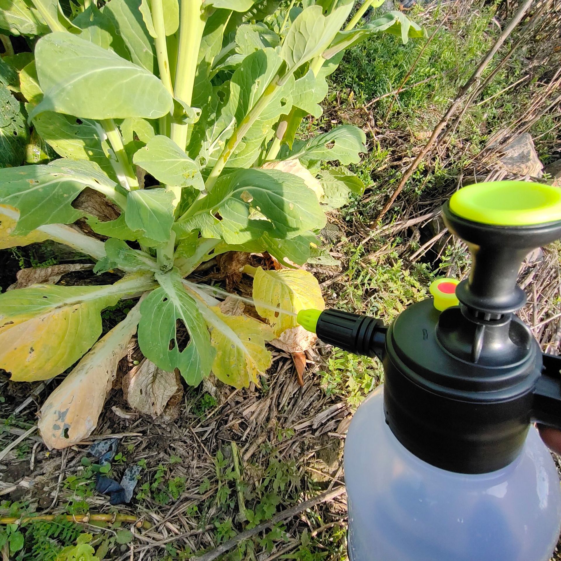 faaa10ac547c339d4c7bd522050eaf