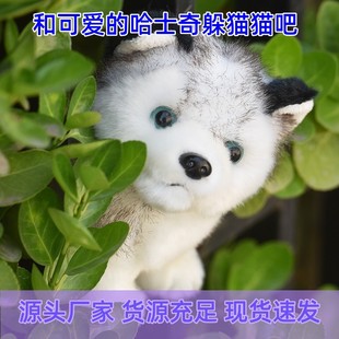 Cute Doll Small Doll Girl Birthday Gift Wholesale Husky Dog Plush Toy Doll Erha