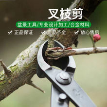 �辰���������B�o�������Թ��߲�֦��б�ڼ���֦�Qб�м����߰�