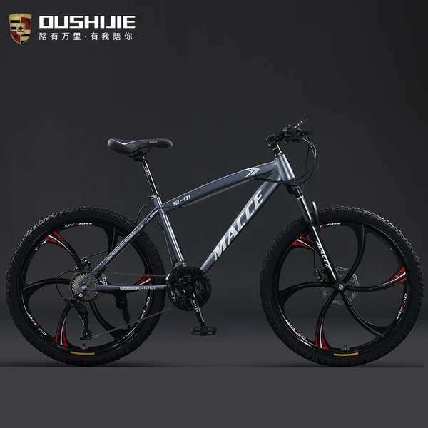 XS-Flagship version silver gray six wheels-with shelf