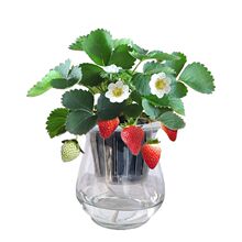 ˮ���ݮ�����Ԏ��������ļ���̨�̨�Gֲ��������҃���ֲ�ﻨ��