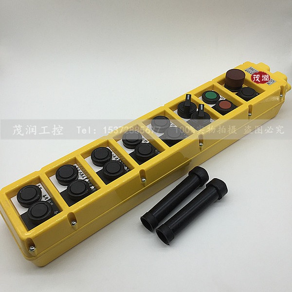 16位 行车按钮开关COPP-AS8(AB1S7)COBP吊车双速控制盒手电门