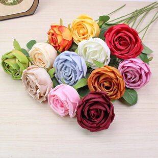 ��֧�������õ�羳���N���b���߷���õ�廨��c���Ų廨����ٻ�