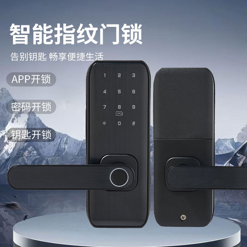 TTLOCK欧美涂鸦wifi指纹锁家用公寓远程app蓝牙智能锁酒店刷卡锁