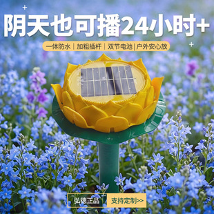 ���̫��ܲ����C24С�r����ɏ��������푿�ѭ�h��������ͥԺ���@