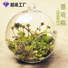 厂家批发 微景观生态瓶玻璃花瓶 苔藓瓶多肉植物花瓶 HP33 12CM