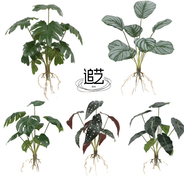Simulation green plant turtle back leaf spring rain leaf home decoration ornaments cross-border hot sale simulation flower props fake flowers wholesale
