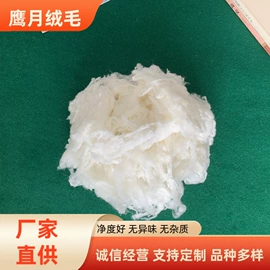 动物毛鬃;纺织填充物;人造纤维