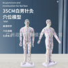 colour Portable acupuncture human body acupoint Model Have an acupuncture treatment Practice skin bronze image Hand and foot Ears acupoint