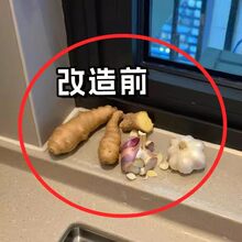 �[�����ռ{�ЏN�����P����ܶ๦�ܱڒ����������ռ{��ˮ�۞rˮ��