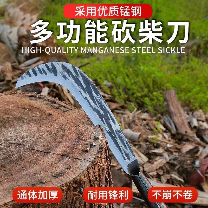 微信图片_20260607150443_8_4.jpg