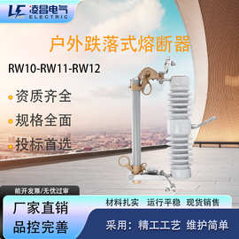 凌昌rw12-15/100-200A跌落式熔断器户外柱上高压陶瓷令克厂家批发