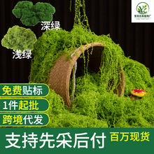 �羳����̦�\��Ƥ�����������̦΢���^���Ô[����ƺ�辰�������