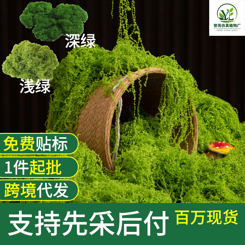 Cross-Border Simulated Moss Turf, Artificial Fake Moss for Micro-Landscape Arrangement, Decorative Items, Lawn, Bonsai, and Plant Coverings Cross-Border Simulated Moss Turf, Artificial Fake Moss for Micro-Landscape Arrangement, Decorative Items, Lawn, Bonsai, and Plant Coverings
