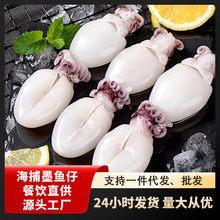 墨鱼仔新鲜冷冻商用鲜冻小鱿鱼捞汁小海鲜小乌贼干冰批发迷你