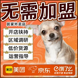 猫猫干粮;猫猫玩具;猫砂