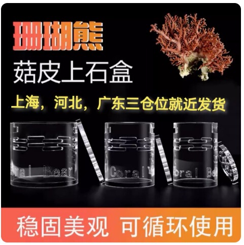 Coral Bear sps Software Coral Pedestal Sea Tank Reproduction Mushroom Skin Lost Mushroom Leather Upper Stone Box Coral Upper Stone