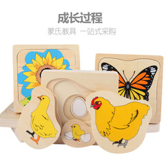 Children's Montessori early education animals and plants men and women growth process multi-layer puzzle puzzle board educational wooden toys