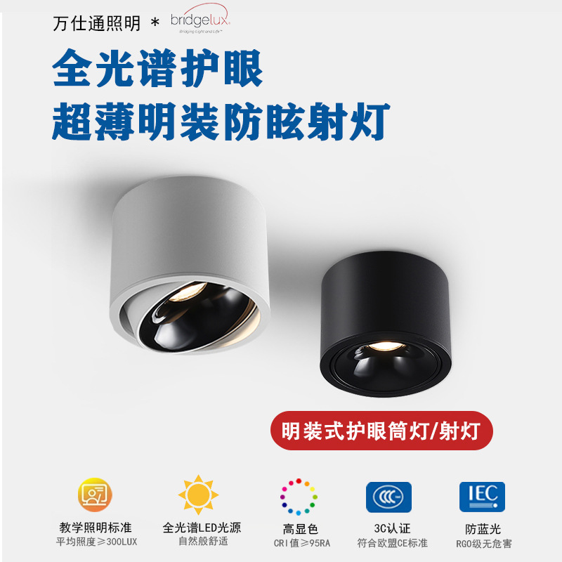 Wanshitingming Flush Mount LED Spotlight Ultra-Thin Modern Minimalist Household Tube Light Living Room Round Ceiling Light Anti-Glare Tube Light