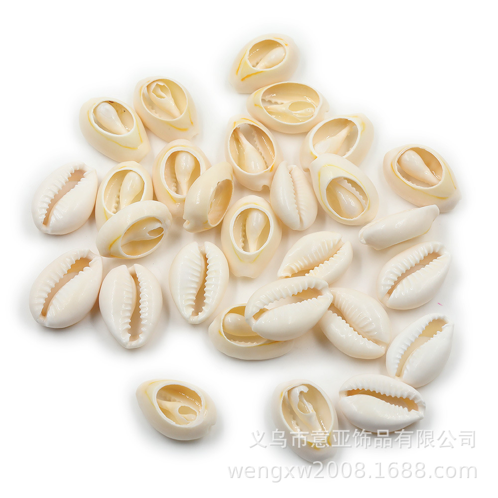 조가비 껍질은 파운드 단위로 판매됩니다. 천연 바다 조개 DIY 쥬얼리 팔찌 목걸이 의류 액세서리 액세서리 도매