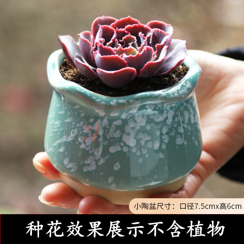 植木鉢の小さい新商品の缶のアイデアの磁器の缶の多い陶磁器の肉のミニ陶のレトロな家庭の陶磁器のたらいの園芸の太い新しいです。|undefined