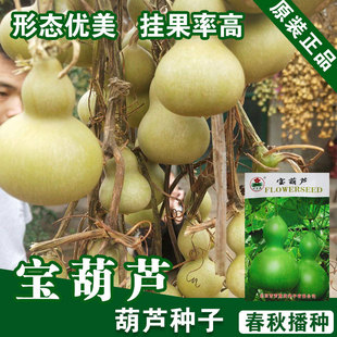 ���J�N�Ӻ��J�Ѻ��J���߲˷N�����l�˷N���Ѳ˷N�ӹ�˾