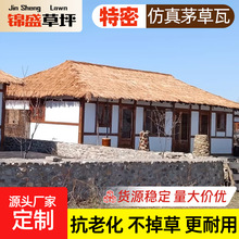 ���^����é���������������ϵ��������r�Ҙ���������b�ë����