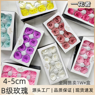 �������õ�廨�^���˱��I������õ��B��4-5cm8��F؛50ɫ���l