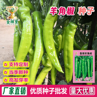 ���l��ǽ��N�Ӵ����������߲��ݽz�����˽���Ƥ�����N�����T��