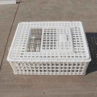 ���ϴ��u���D��ߴ�����ë�u�\ݔ���b�u�\ݔ�\�r��