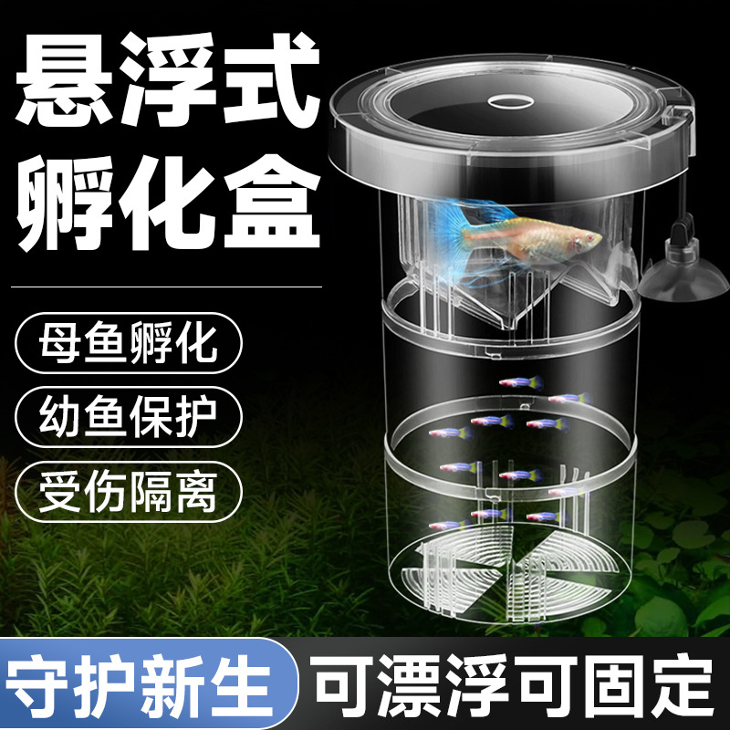鱼缸孔雀鱼孵化器繁殖盒亚克力隔离盒热带鱼孵化产卵器鱼苗隔离盒