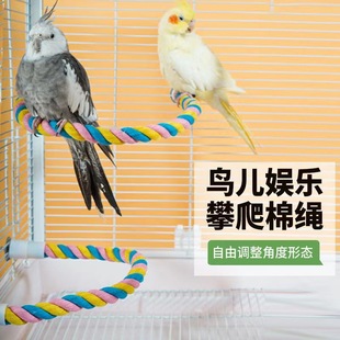 �W�^�������K�B��� �R����U�͌������ �Bվ�U�B�܌�����Ʒ���l