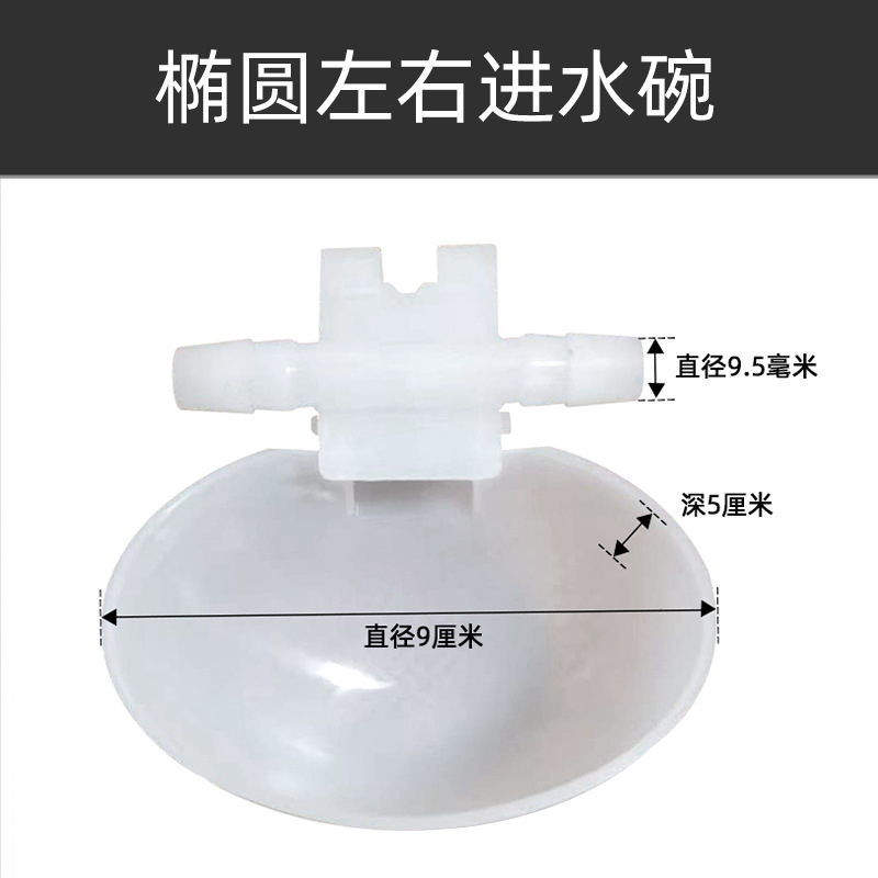 Tazón de agua de la paloma bebedor automático Loro Bird bebedor automático paloma caja de comida caja colgante bebedero