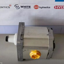 111.20.285.00 SNP2NN/019LN01BA����˹Danfoss���ֱ�Һѹ��