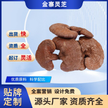 安芝堂安徽大别山金寨赤灵芝椴木灵芝整颗野灵芝基地直发量大从优