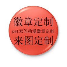 动漫明星周边胸章马口铁徽章胸章塑料胸牌卡通金属校徽双闪吧唧