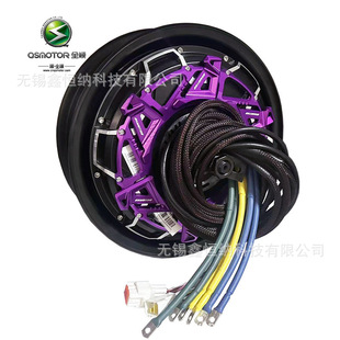 12��V6�L�Y6000WP50HQSMOTORȫ�늙C��Ƭ��48-96V늄�܇�Ħ늙C