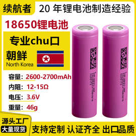 18650锂电池组定制加端子线保护板电动车动力电池电瓶电芯电池组