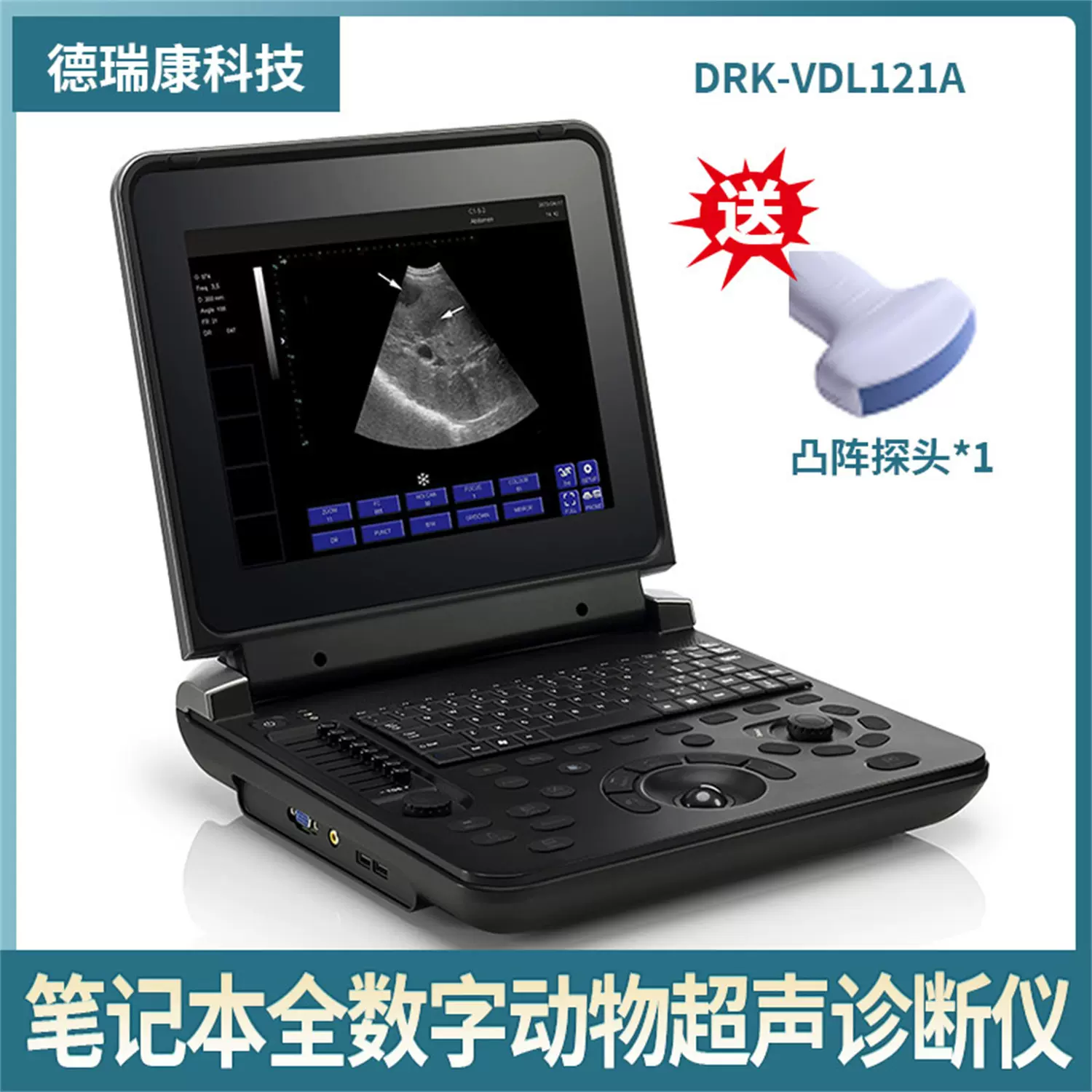 宠物猫狗牛马动物兽用B超 便携式笔记本黑白超声检测仪 源头厂家