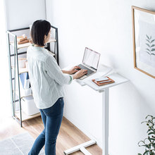 ձSANWAXƄvӖW100-CDESK005