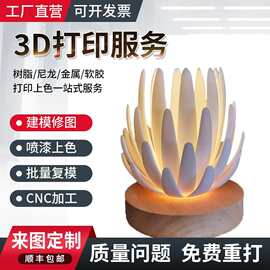 3D 打印服务手板模型代打SLA光固化PLA多色线材PETG碳纤FDM成型