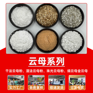 �ĸ�� ����T�ϰ��ĸ�� �T�캸�l�ĸ�� �џ����ĸ ���ĸ��