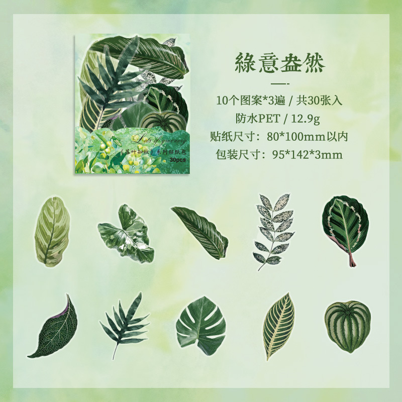 Hojas caídas en otoño impermeable mascotas transparentes pegatinas de tela de mano paquete diy pegatinas de tela de mano materiales vegetales pegatinas de hojas para niños pegatinas de hoja