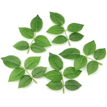 5Ƭ����õ���~ �G�~���õ���~�z�W���ֹ�õ���~�z�W���~�b�